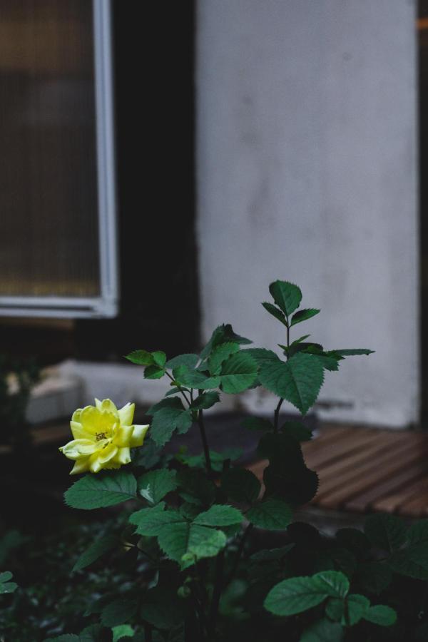 Viva La Vida - Jongno Hanok Private House โซล ภายนอก รูปภาพ